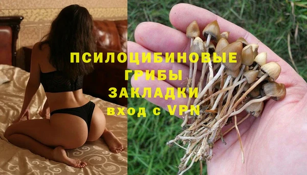 мет Арсеньев