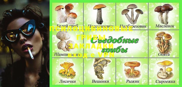 мет Арсеньев