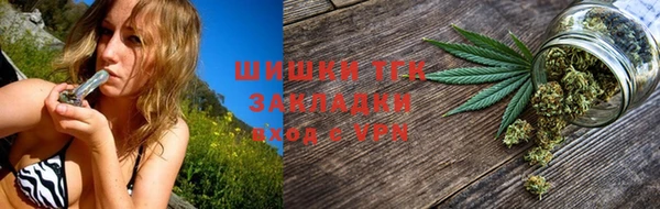крисы Аркадак