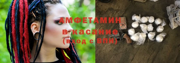 крисы Аркадак
